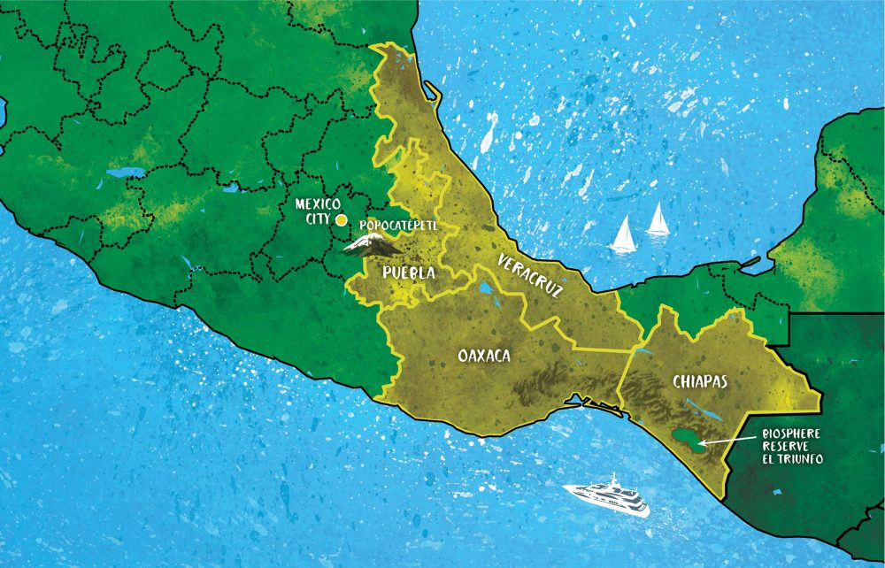 Mapa de regiones cafetaleras de México